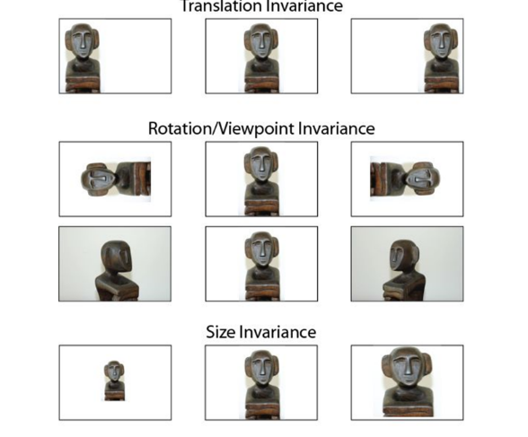 image-20240725184307535