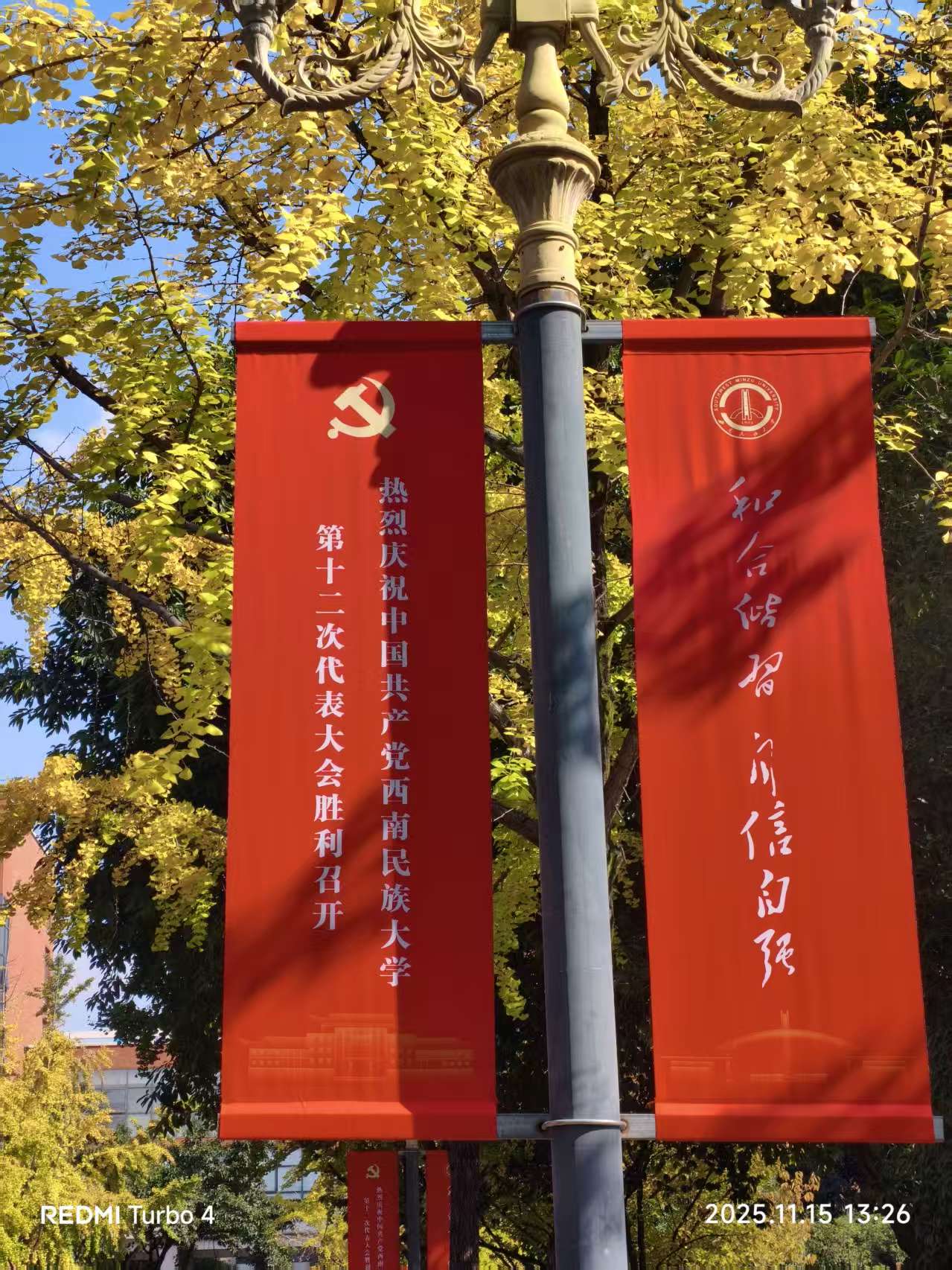 阳光明媚的一天